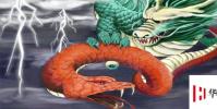 生活小知識:蛇為什么叫小龍?