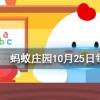 辟邪翁是人們經常在重陽節用到的一種植物的別名它是螞蟻莊園知識問答