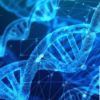 研究人員發現與自閉癥和其他神經系統疾病有關的新的轉座子基因