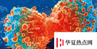 生物芯片創新結合了AI和納米顆粒印刷技術