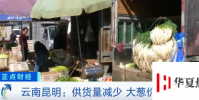 大蔥短短幾天價格漲兩倍原因是