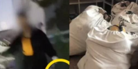 虐貓男子不斷收到網友寄的花圈壽衣