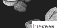 超分辨率顯微鏡和機器學習為化石花粉顆粒提供了新的思路