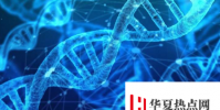 研究人員發現與自閉癥和其他神經系統疾病有關的新的轉座子基因