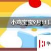 小雞寶寶知識問答：公交車超載的標準是1平米站多少人