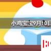 小雞寶寶知識問答：運動一定要超過30分鐘才會開始消耗脂肪嗎
