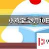 小雞寶寶知識問答:為什么酒喝多了走路容易東倒西歪