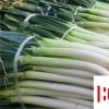 生活小知識：大蔥如何存放