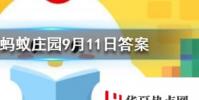 公交車超載的標準是1平米站多少人螞蟻莊園知識問答