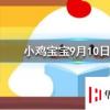 小雞寶寶知識問答：土豆發芽后還能吃嗎