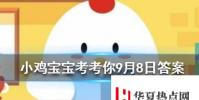 小雞寶寶知識問答:公益周項目所需的運動幣如何獲得