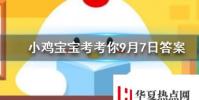 小雞寶寶知識問答:今天的免費高級飼料棉花糖怎么領