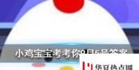 小雞寶寶知識問答:下面哪個公益項目可以為孩子提供免費午餐呢
