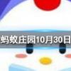 奧運會上男女選手同場競技的唯一大項比賽項目是螞蟻莊園知識問答