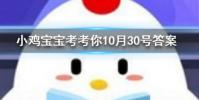 小雞寶寶知識問答:奧運會上男女選手同場競技的唯一大項比賽項目是