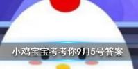 小雞寶寶知識問答:小雞天使裝扮怎么獲得
