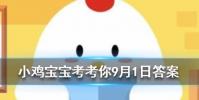 小雞寶寶知識問答:泡騰片能直接吞下去嗎