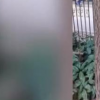 消防員救下墜樹小松鼠成奶爸