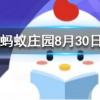 跑步的時候握緊拳頭會有什么結果螞蟻莊園知識問答