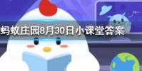 羊駝究竟是羊還是駝螞蟻莊園知識問答