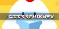 小雞寶寶知識問答:羊駝究竟是羊還是駝