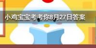 小雞寶寶知識問答:非洲有企鵝嗎