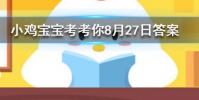 小雞寶寶知識問答:龍涎香來自于以下哪種海洋生物