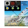 在喜馬拉雅山大氣中發現棕色碳瀝青