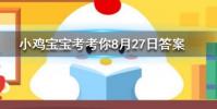 小雞寶寶知識問答:龍涎香來自于以下哪種海洋生物