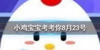 小雞寶寶知識問答:以下哪種動物擁有和人類相似的指紋