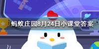 開燈睡覺會對我們的身體造成傷害嗎螞蟻莊園知識問答