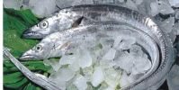 天津港進口冷鏈食品檢出陽性后