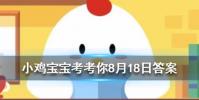 小雞寶寶知識問答:向日葵會一直跟著太陽的方向轉來轉去嗎