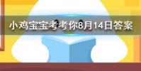 小雞寶寶知識問答:空曠的地面上和高樓之間一般哪里的風更大
