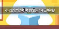 小雞寶寶知識問答:哪種植物被稱為黃花地丁婆婆丁