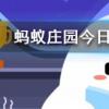 夏天時鞋子經常會散發出異味可以如何去除螞蟻莊園知識問答