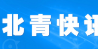 雙11當天全國處理快遞6億件