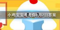 小雞寶寶知識問答:養小雞捐的愛心蛋都去哪里了