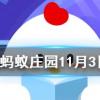 九月九日憶山東兄弟是王維的名作題目中的山指的是螞蟻莊園知識問答
