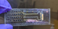 生物電子設備實現了前所未有的細胞膜電壓控制
