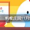 長頸鹿每天的睡眠時間大約是幾小時螞蟻莊園知識問答