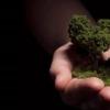 我們在看房前 一定要先了解需要注意的點有哪些