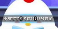 小雞寶寶知識問答:饅頭為什么越嚼越甜