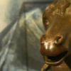 流失百年馬首銅像將回到圓明園