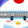 土豆發芽后還能吃嗎螞蟻莊園知識問答