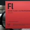谷歌宣布將不再為AdobeFlash內容編制索引