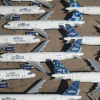 國際航空運輸協會負責人說航空公司還需要70到800億美元才能生存