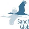 Sandhills Global第二季度市場更新為行業提供了可行的見解