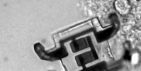 借助激光技術微型機器人得以行走