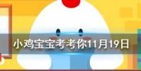 小雞寶寶知識問答:喜大普奔是成語嗎